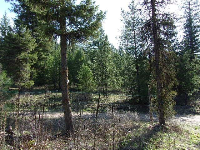3445 Glasser Hill Rd, Valley, WA 99181 - photo 18