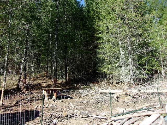 3445 Glasser Hill Rd, Valley, WA 99181 - photo 7