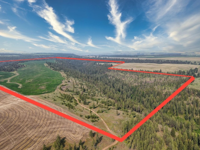 45XXX Devore Rd, Davenport WA, 99122 land for sale