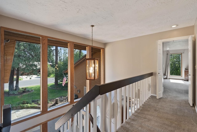 hallway with carpet flooring and a textured ceiling