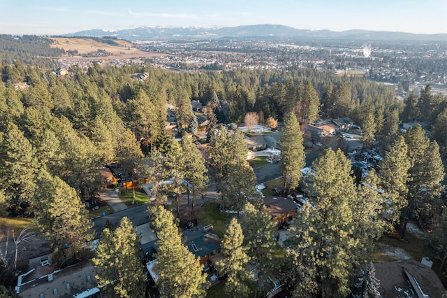 drone / aerial view with a mountain view