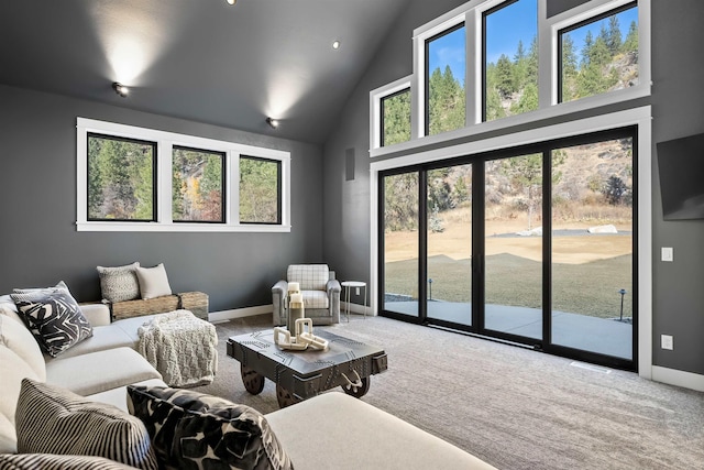 carpeted living room with a high ceiling