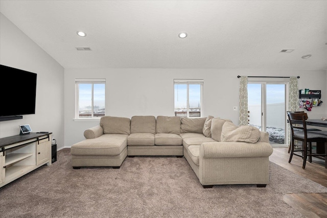 living room featuring lofted ceiling, a wealth of natural light, and a water view