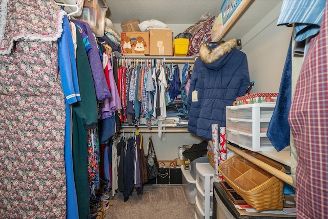 walk in closet featuring carpet flooring