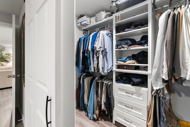 spacious closet featuring wood-type flooring