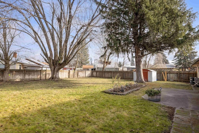 view of yard with a patio and a shed