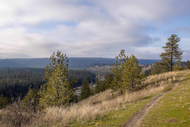 view of mountain feature