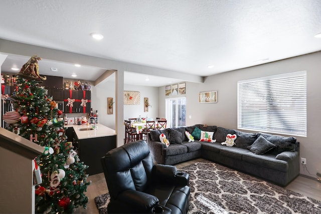 living room featuring sink and hardwood / wood-style flooring