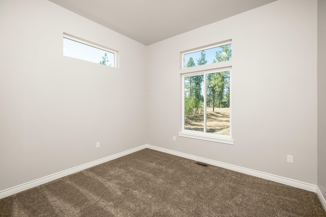 spare room with carpet and a wealth of natural light