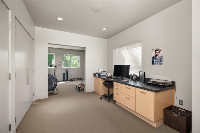 view of carpeted home office