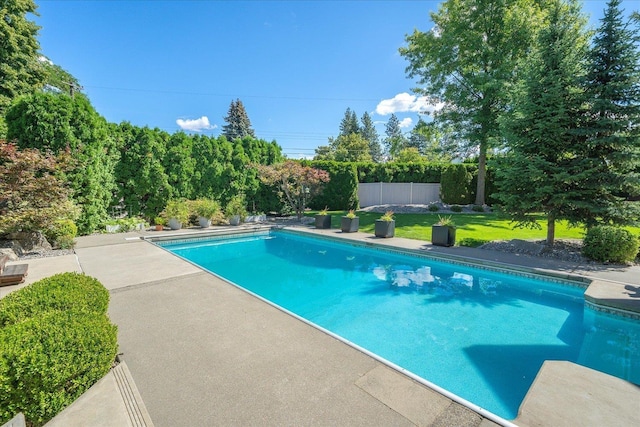 view of swimming pool with a patio area