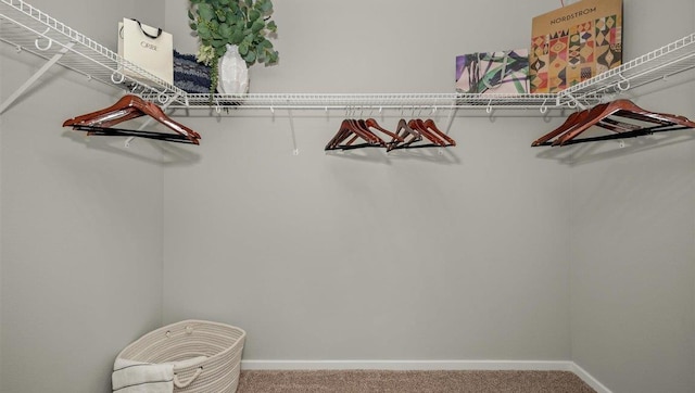 walk in closet with carpet