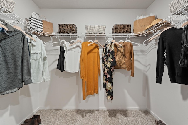 3122 N Glenrose Rd, Spokane, WA 99217 - walk in closet with carpet flooring