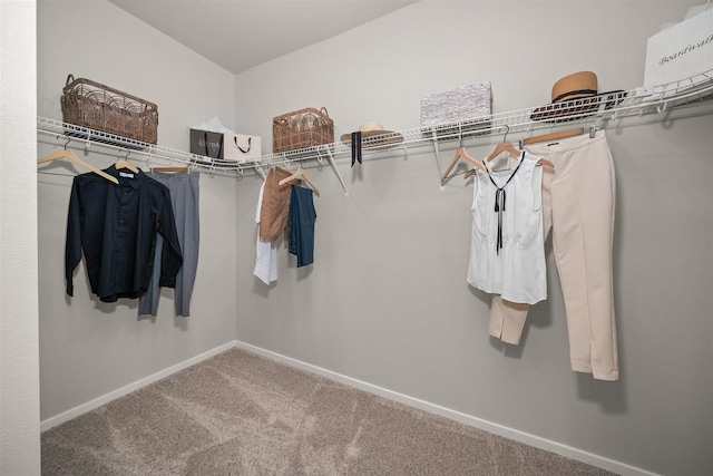 walk in closet with carpet flooring