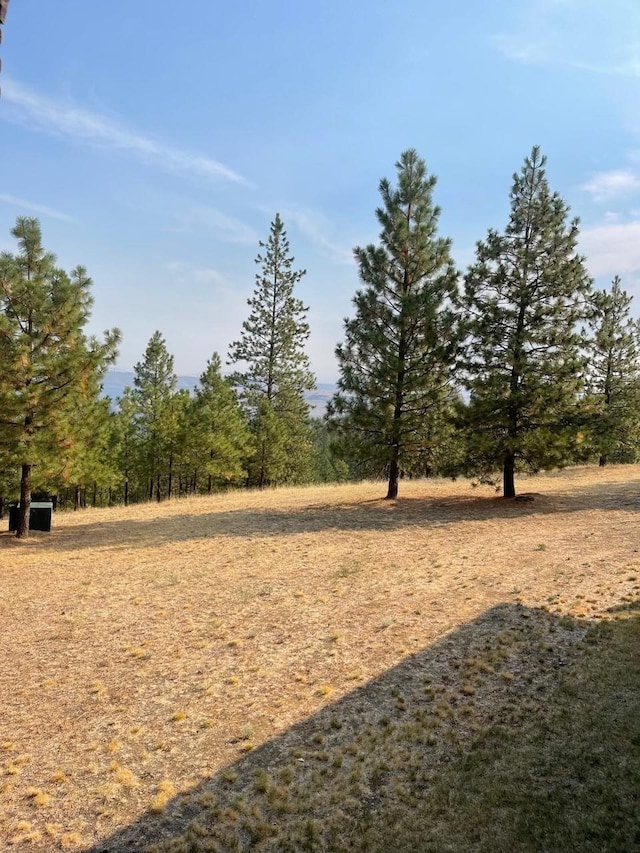 view of local wilderness with a rural view