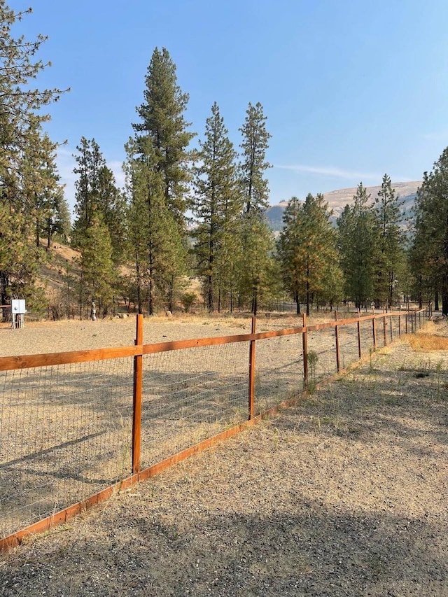 view of yard featuring a rural view and a mountain view