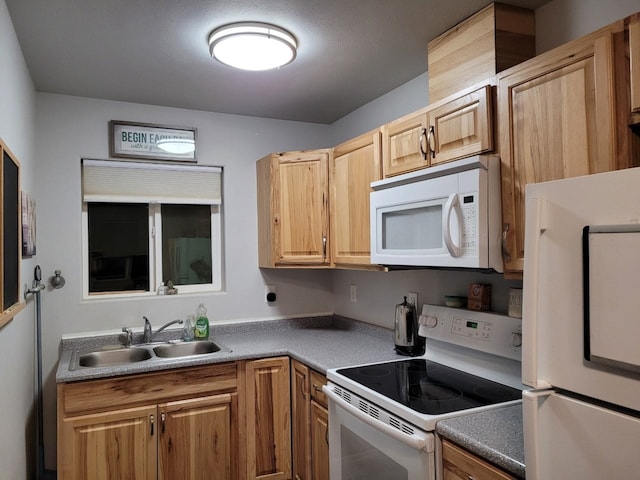 kitchen with white appliances and sink