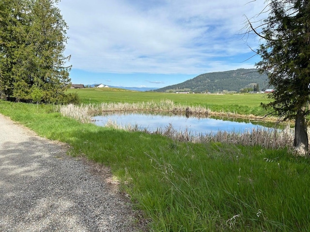 2135 Whitetail Way, Colville WA, 99114 land for sale