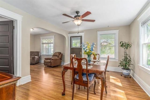 dining room with ceiling fan, plenty of natural light, and light hardwood / wood-style flooring