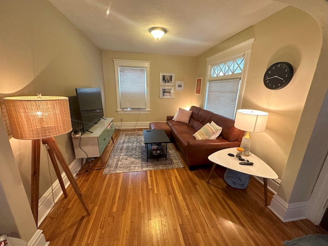 living room with wood-type flooring