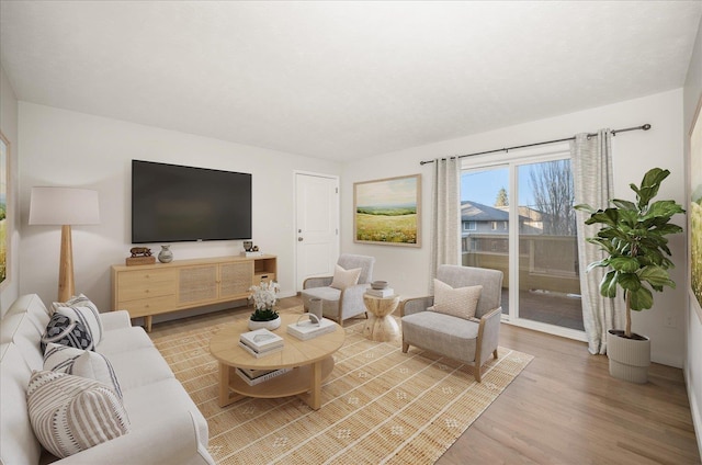 living room featuring light hardwood / wood-style flooring