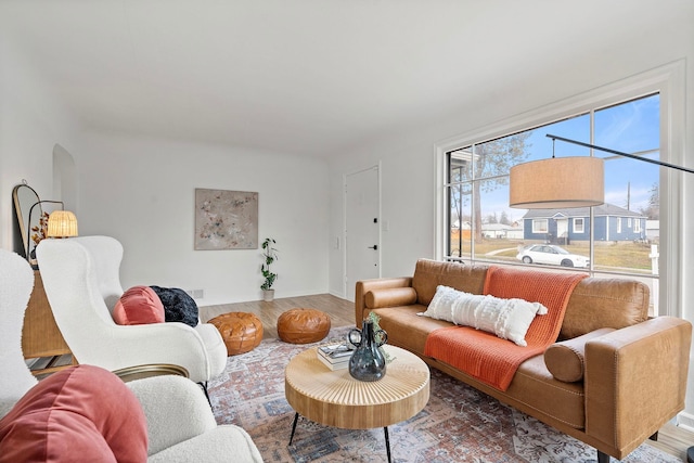 living room with wood-type flooring