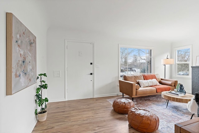 living room featuring light hardwood / wood-style floors