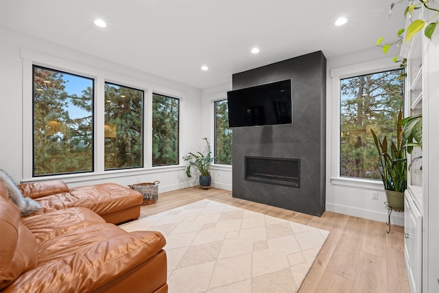 living room featuring a fireplace and light hardwood / wood-style floors