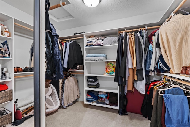 walk in closet featuring light colored carpet