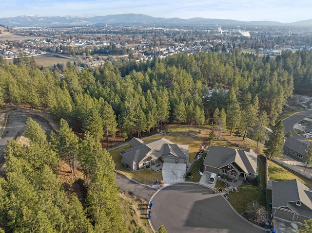 drone / aerial view featuring a mountain view