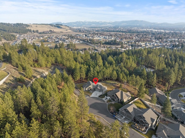 bird's eye view featuring a mountain view