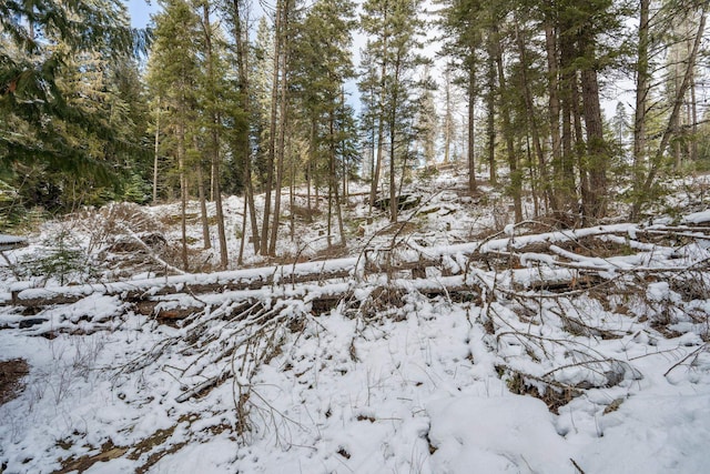 view of snowy view