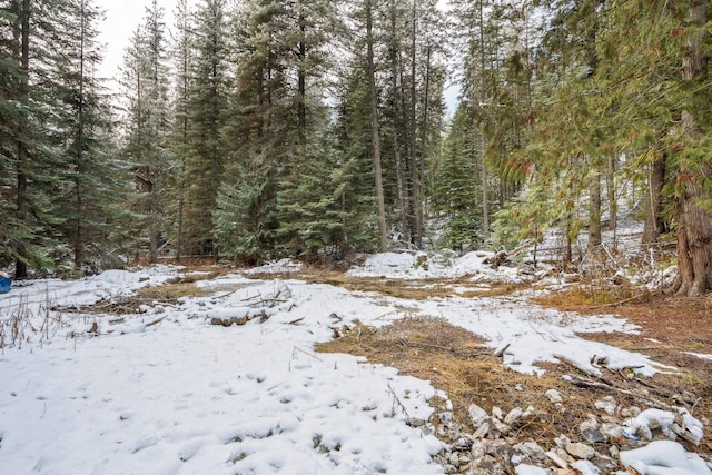 view of snowy landscape