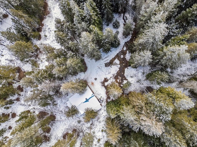 view of snowy aerial view