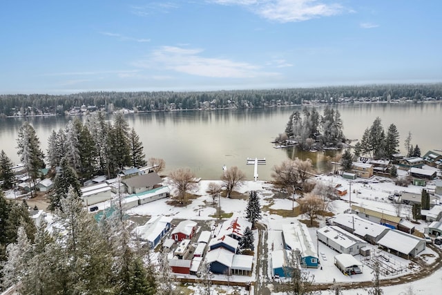 snowy aerial view featuring a water view