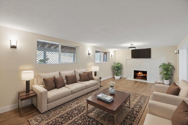 living room with wood-type flooring