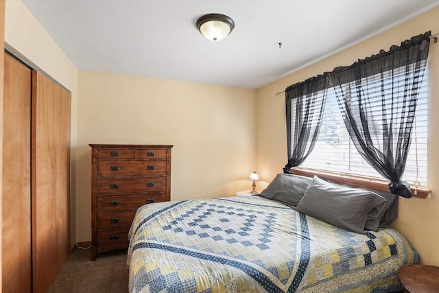 bedroom with a closet and dark colored carpet