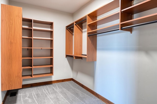 spacious closet featuring carpet floors