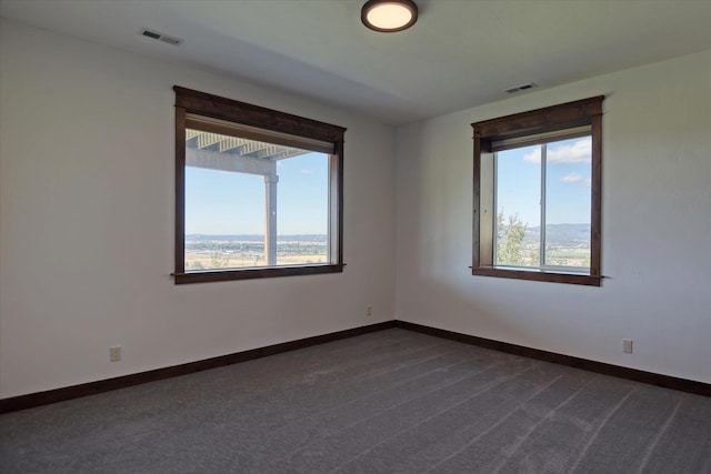 empty room featuring carpet floors