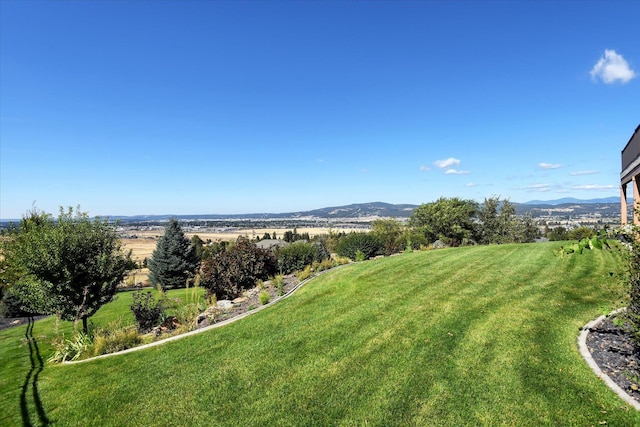 view of yard with a rural view and a mountain view