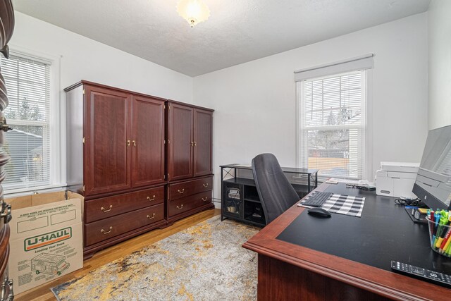 living room featuring light hardwood / wood-style flooring