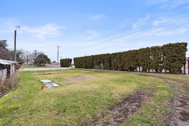 view of yard