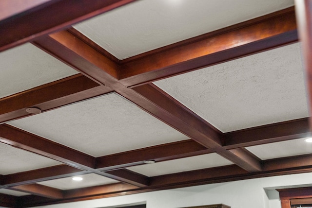 interior details with coffered ceiling and beam ceiling