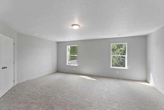 carpeted spare room featuring a wealth of natural light and a textured ceiling