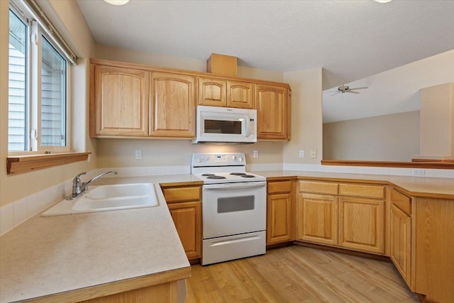 kitchen with white appliances, sink, kitchen peninsula, ceiling fan, and light hardwood / wood-style flooring