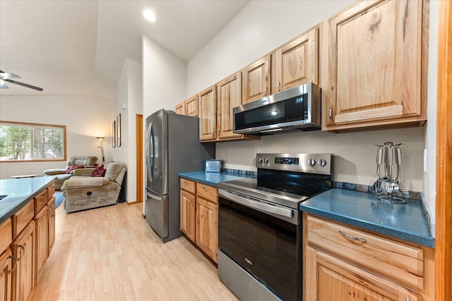 kitchen with ceiling fan, appliances with stainless steel finishes, and light hardwood / wood-style flooring