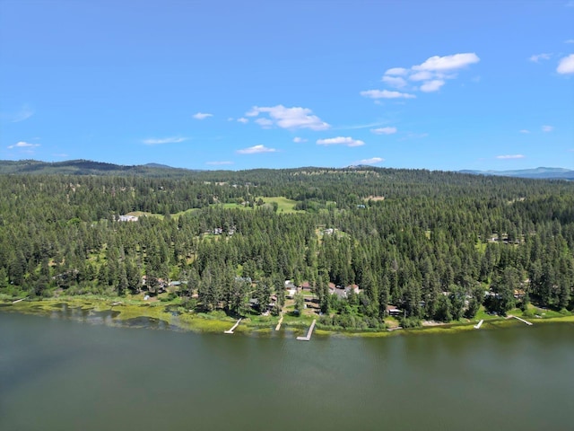 bird's eye view with a water and mountain view