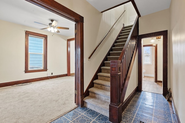 stairs featuring ceiling fan and carpet