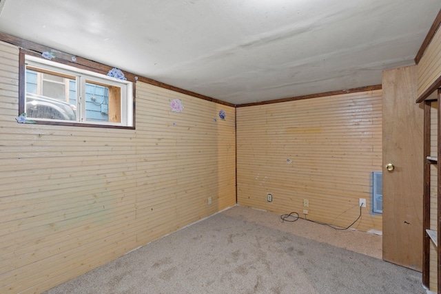 basement featuring light carpet and wooden walls