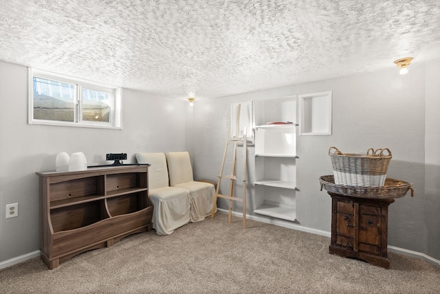 sitting room featuring a textured ceiling and carpet flooring